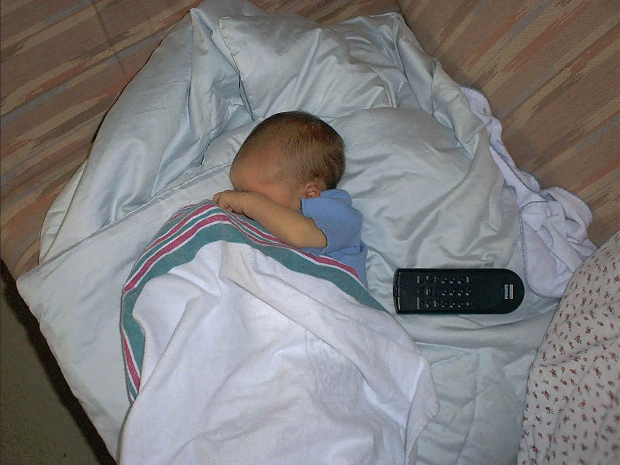 Zzzzz....