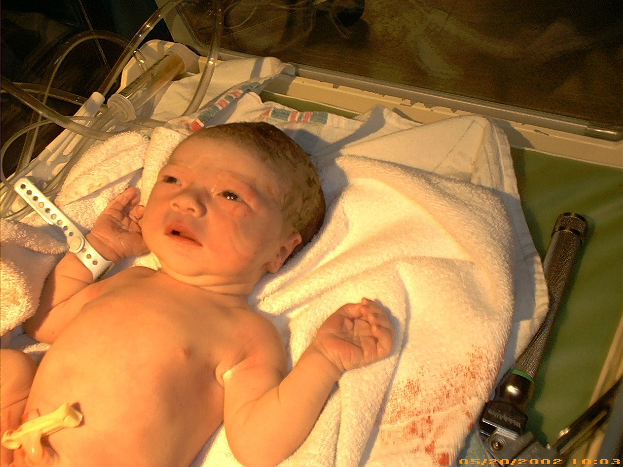 Andrew Caleb Hartline