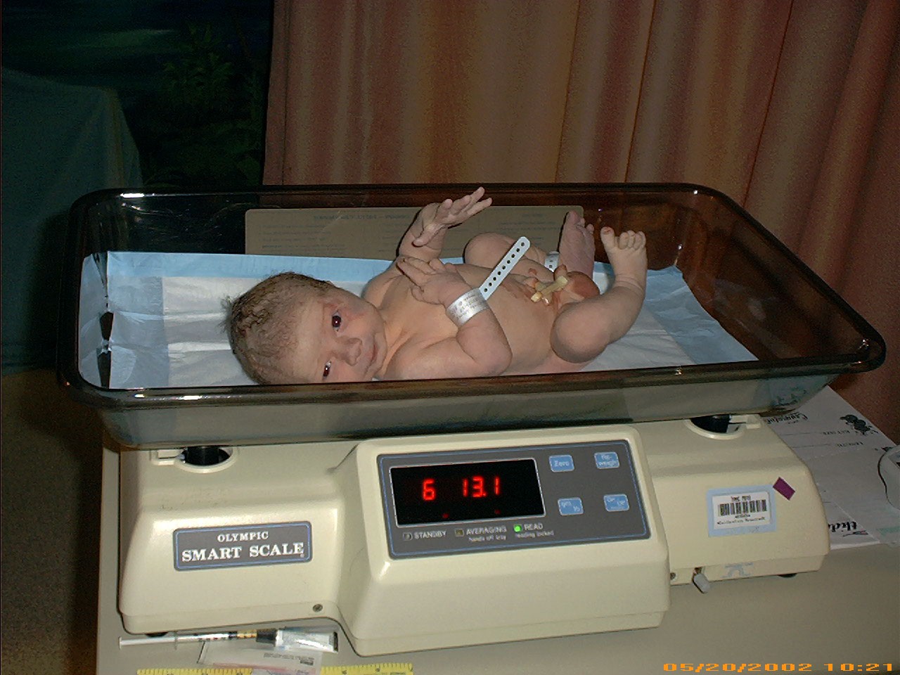 6lbs, 13oz