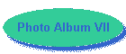 Photo Album VII