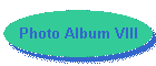 Photo Album VIII
