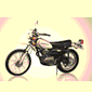 xl250