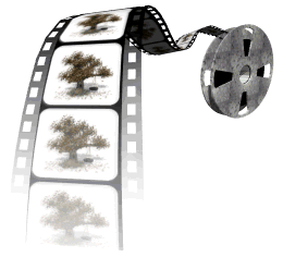Imagen-animada-Pelicula-cinematografica-14.gif
