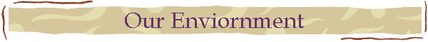 Our Enviornment