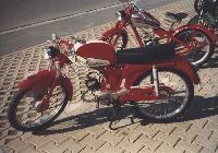cavallino.jpg  1664x1165  
80 KB
