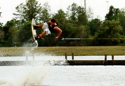 fly