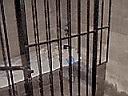 cell3.jpg