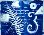Persistence of Memory, Large Format Ware Cyanotype