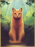 Step lightly. StarClan is calling.