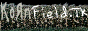 My Korn fan site