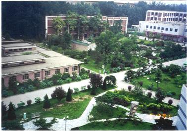 Green areas and school buildings viewed from the dormitory