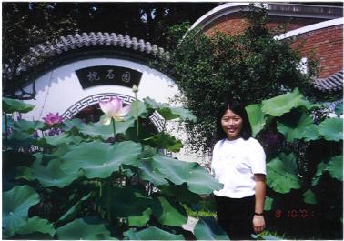 Water lilies outside Zhenshi Yuan, the tea house in the campus