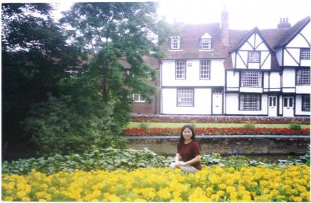 Garden in Canterbury