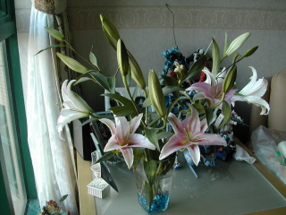Lilies