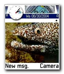 Click to Download