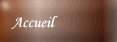 Page accueil
