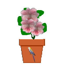 The Site Fights Spirit Flowers