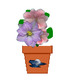 The Site Fights Spirit Flowers