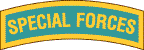 Special Forces Badge --
Spec Ops