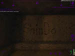 ShinDo's name in bullet holes