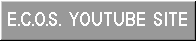 Snowball YouTube Site