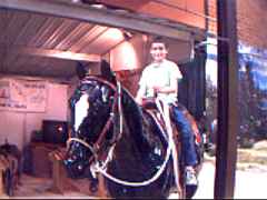 I like horses better than cars.