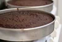 Chocolate cake in pans