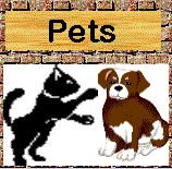 Go to the Pet Stores