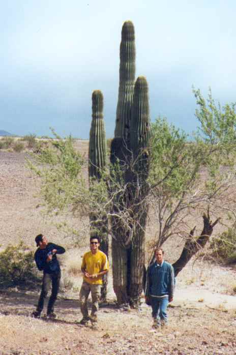 Eric, Jan and Fred