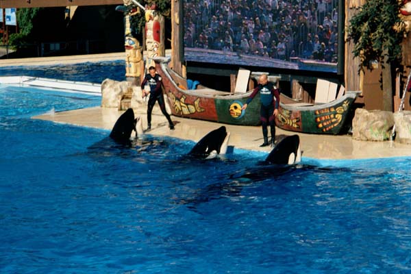 SeaWorld