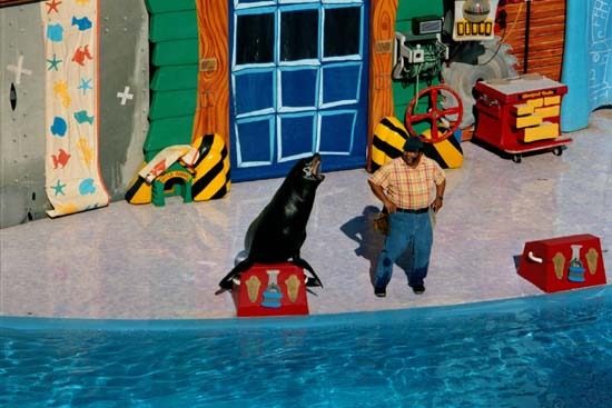 Seaworld3