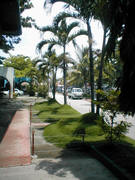 The pathway along the Municipal Hall...