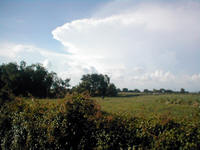 Vast agricultural lands (along the National Road) that can be readily converted for industrial use....