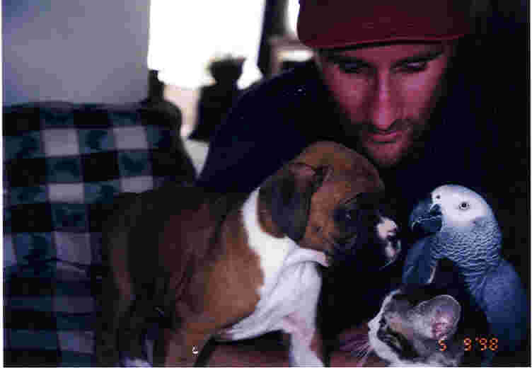 Our Pets