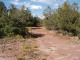 P1010033.JPG