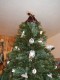 09tree.jpg