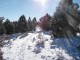 39sun_snow.jpg