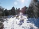 40sun_snow.jpg