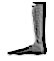 Foot (B)