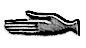 Hand (D/T)