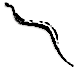 Snake (TCH/DJ)