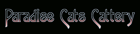 CFA Logo