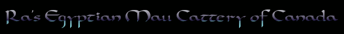 CFA Logo