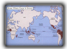 Areas Where Cacao is Grown
