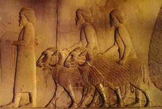 Perspolis (Takht e Jamshid)