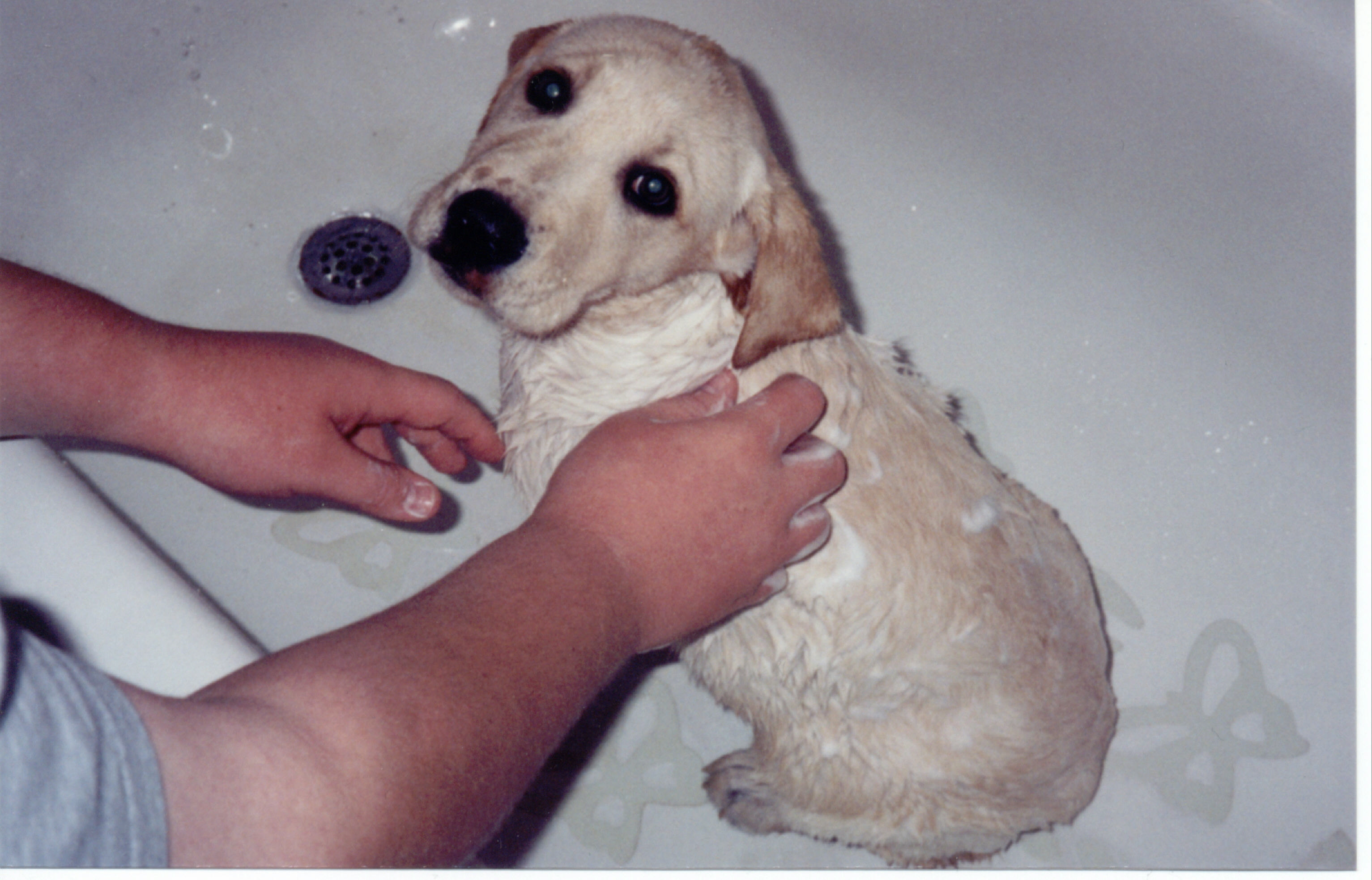 Ty's first bath