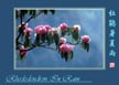 杜鹃著夏雨 Rhododendron In Rain