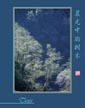 晨光中的树木 Trees