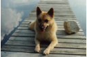 Kiitos k�ynnist�si! Thank you for your visit!!