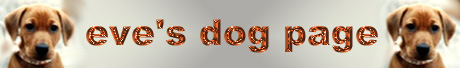 Eve's Dog Page
